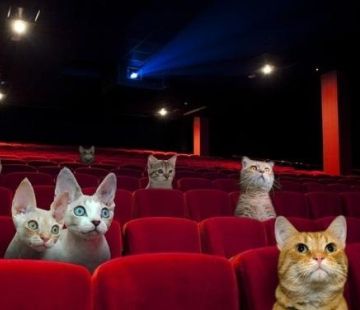 Доступные цены